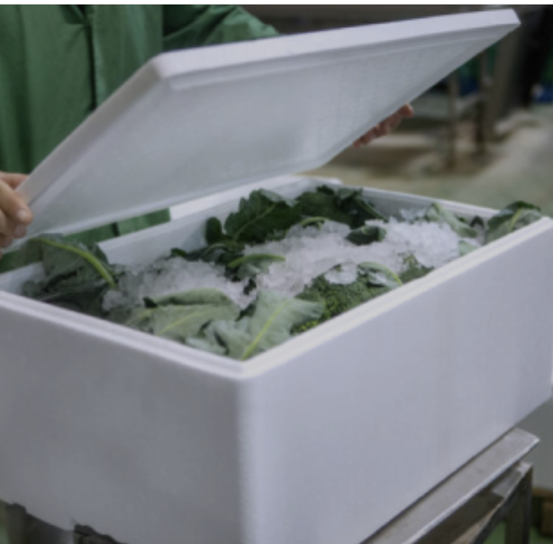 Exchangeable/Refundable Cooler Box - Refunded when old box is exchanged at delivery